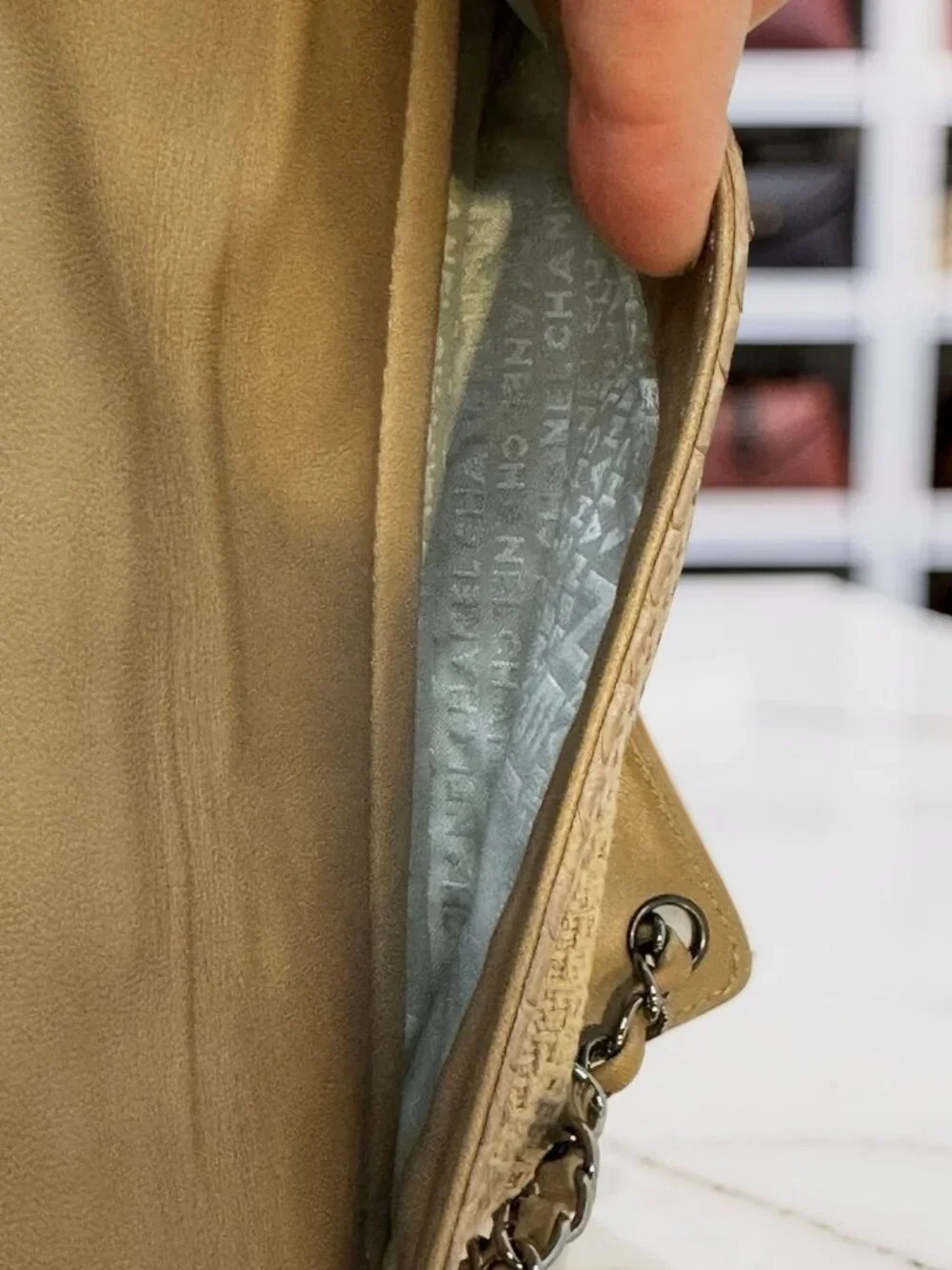 Chanel Python-Trimmed Accordion Flap Bag Taupe Exotic
